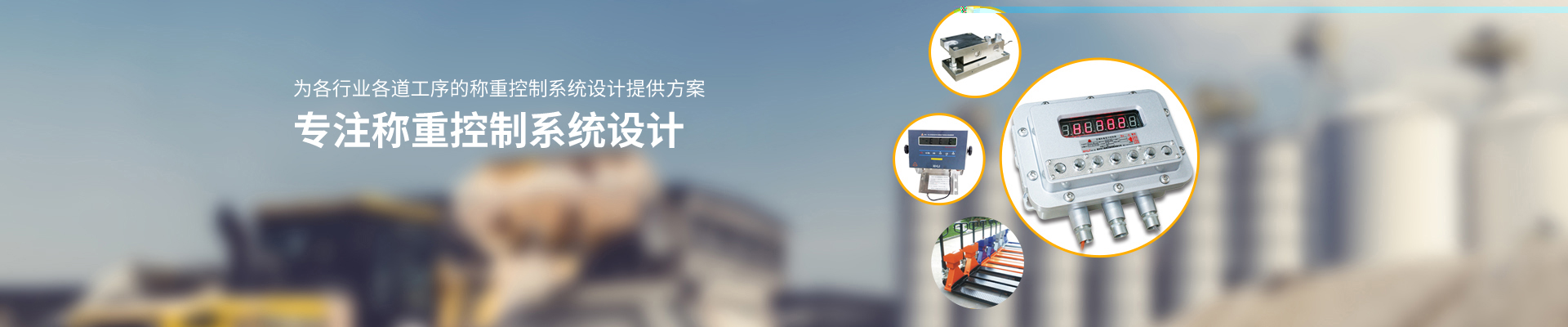江苏乐虎LEHU称重设备有限公司